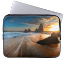 Search for motion picture cases Horizontal