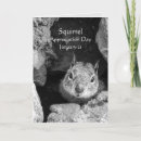 Search for squirrel cards Outdoors
