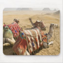 Search for the culture mousepads Dave bartruff