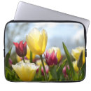 Search for tulip pictures cases Red