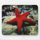 Search for red sande mousepads Coast