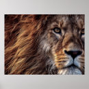 Search for beautiful lion art Jungle