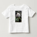 Search for panda toddler tshirts Zoo