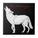 Search for coyote tiles nature