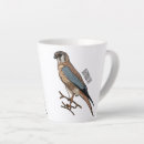 Search for kestrel mugs Bird