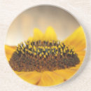 Search for sunflower coasters Simple