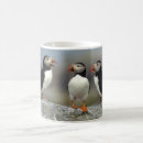 Search for danita mugs Wildlife