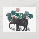 Search for elefant Afrika