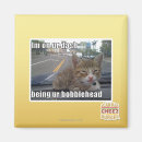 Search for dash magnets I can has cheezburger