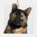 Search for tortoiseshell cat christmas tree decorations Cats