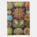 Search for marine tea towels Ernst haeckel