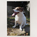 Search for russell puzzles Animal