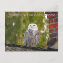 Search for handsome postcards Funny