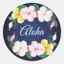 Search for hawaiian hibiscus stickers Beach