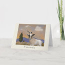 Search for magpie cards Animals