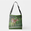 Search for fawns bags Wildlife