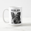 Search for blue heeler mugs Dogs