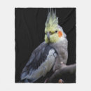 Search for throw blankets Pet