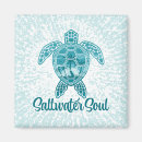 Search for saltwater magnets Ocean