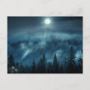 Search for birch postcards Woodland