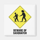 Search for sasquatch magnets Yeti
