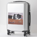 Search for suitcase electronics Dog