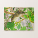 Search for mouse puzzles Cat