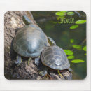 Search for painted turtles mousepads Wildlife