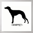 Search for whippet dog posters Pets