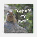 Search for ground squirrel magnets Squirrels
