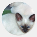 Search for cat portrait stickers Kittens