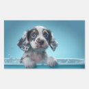 Search for dog bathing stickers Dogs