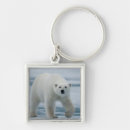 Search for ursus key rings Bear