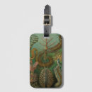 Search for bug travel accessories Insects