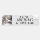 Search for bellis bumper stickers Bellied