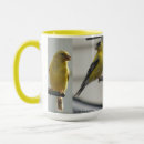 Search for state bird mugs Finch