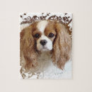 Search for cavalier king charles puzzles Pet
