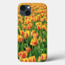Search for barn cases Colour