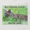 Search for veterinary reminder postcards Veterinarian