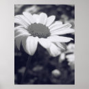 Search for target posters White