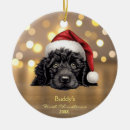 Search for portuguese water dog christmas tree decorations Cute
