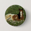 Search for appaloosas badges Bob langrish