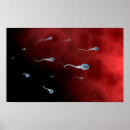 Search for fallopian Medicine