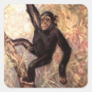 Search for chimpanzee stickers Chimps