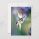 Search for hummingbird thank you cards Flying