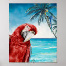 Search for tropical bird art Parrot
