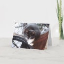 Search for notes pet supplies Sympathy