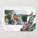 Search for cone christmas cards Winter