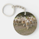 Search for lamb key rings Herd
