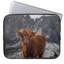 Search for cow animal cases Scotland